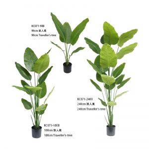 Δέντρο ταξιδιωτών